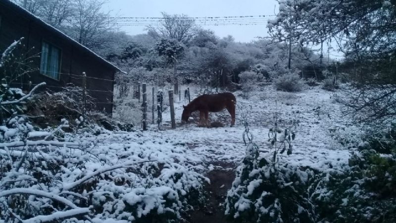 Postales de hielo y nieve en Las Juntas