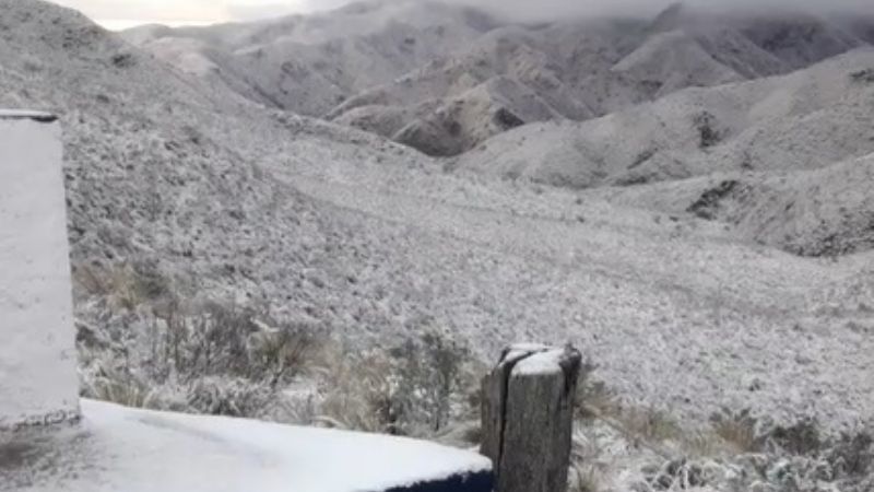 El Rodeo también se tiñó de blanco