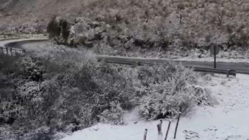 El Rodeo también se tiñó de blanco