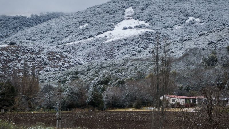 Nieve en los bosques nativos de Catamarca