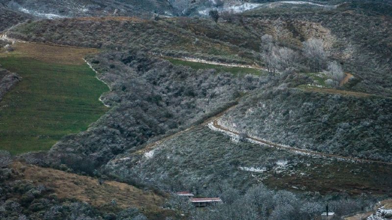Nieve en los bosques nativos de Catamarca