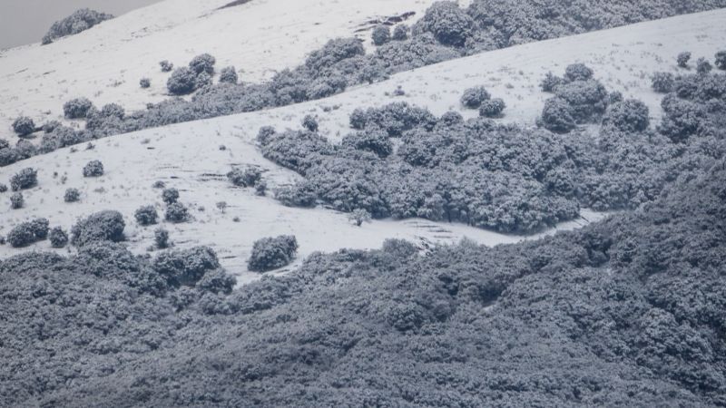 Nieve en los bosques nativos de Catamarca