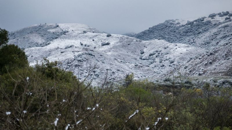 Nieve en los bosques nativos de Catamarca