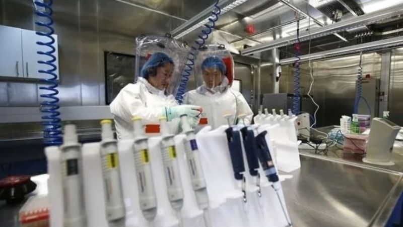 La única científica extranjera del laboratorio de Wuhan rompió el silencio