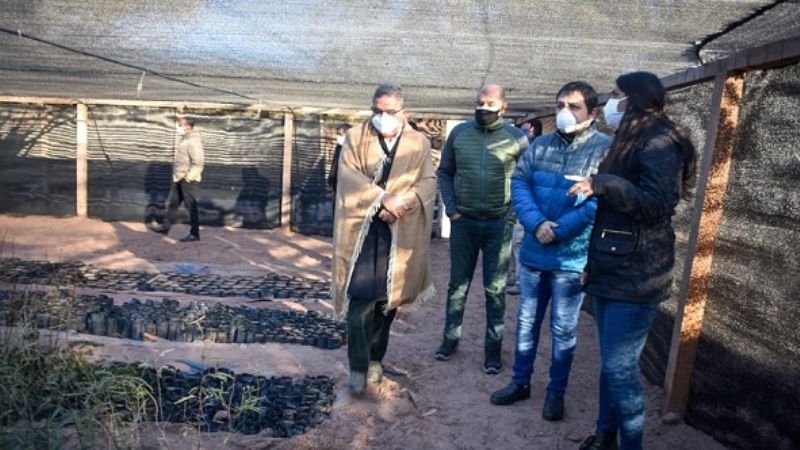 Puesta en valor de vivero forestal