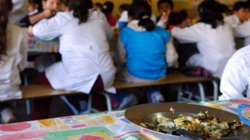 La oposición pidió que se informe sobre el Programa Pio