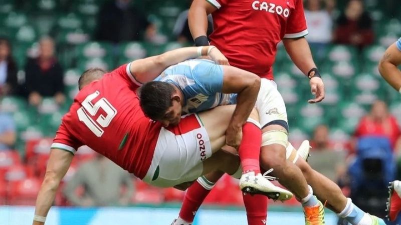 Los Pumas y un empate 20-20, con roja incluida, ante Gales