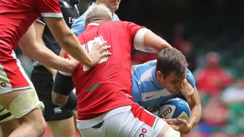 Los Pumas y un empate 20-20, con roja incluida, ante Gales