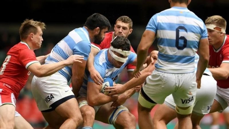 Los Pumas y un empate 20-20, con roja incluida, ante Gales