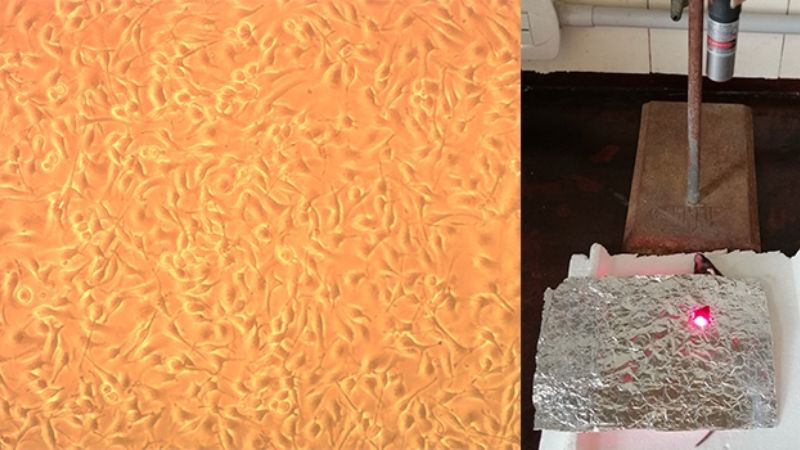 Investigan la efectividad de una terapia con luz para tratar el cáncer de piel