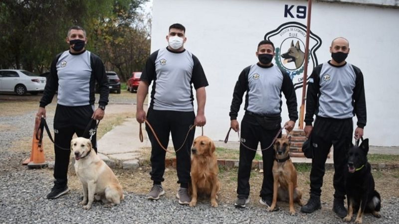 Perros adiestrados colaborarán con la búsqueda de Guadalupe