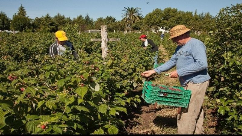 Crecieron las exportaciones de las economías regionales