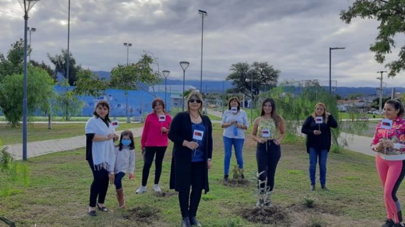 “La impunidad es un mal síntoma”