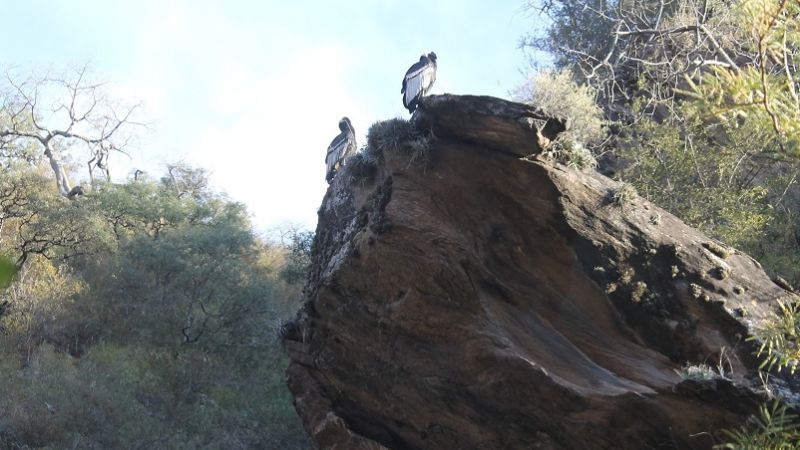 La “Cueva de Cubas”, un paseo con historia