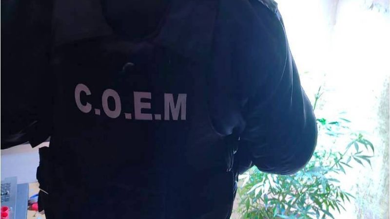 Buscaban una moto robada y encontraron una maceta con marihuana