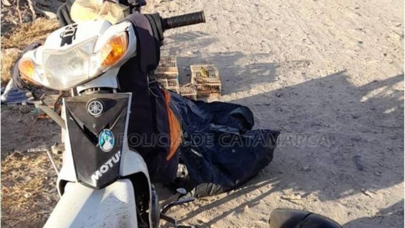 Secuestran aves canoras y tramperas que eran trasladadas en moto