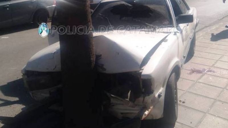 Chocó contra un árbol