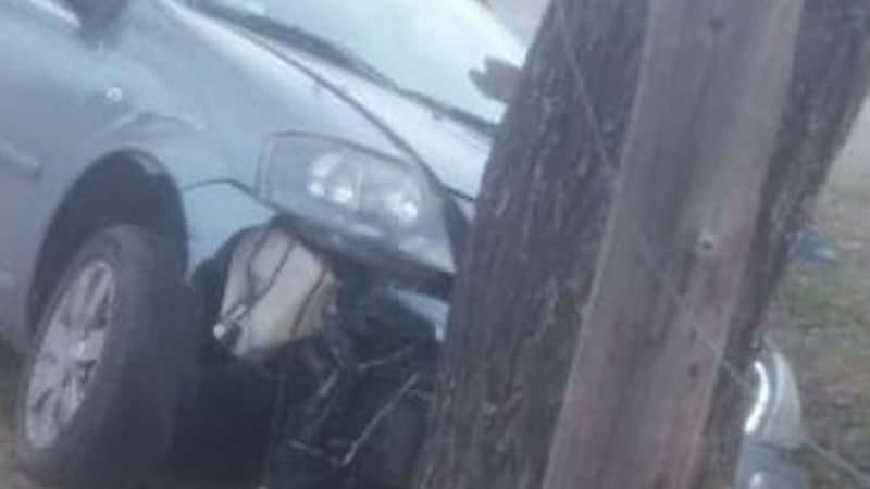 Perdió el control y estrelló la camioneta contra un árbol