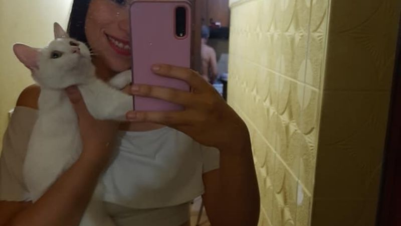 Desesperado pedido por “Nieve”, una gatita perdida