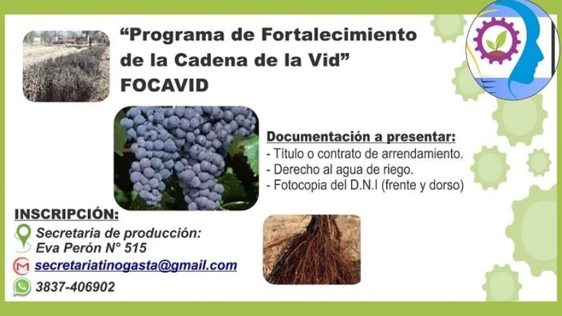 Fortalecimiento de la cadena de Vid en Tinogasta