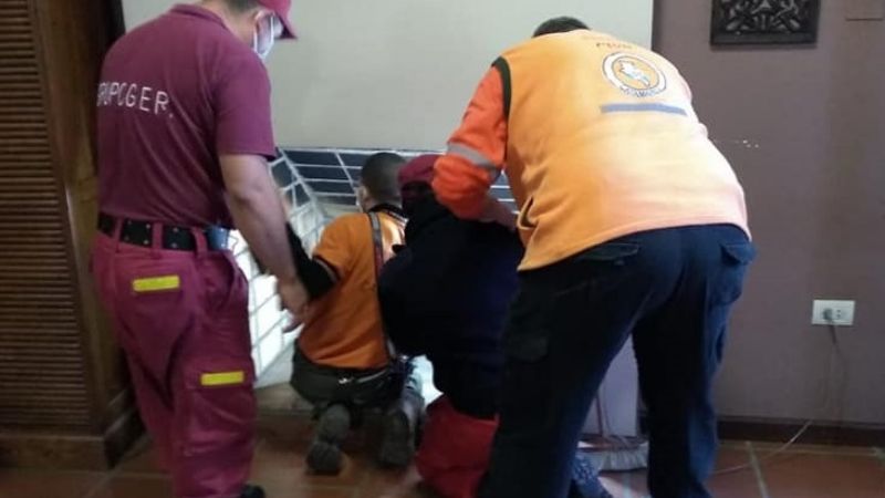 Defensa Civil rescató un gatito