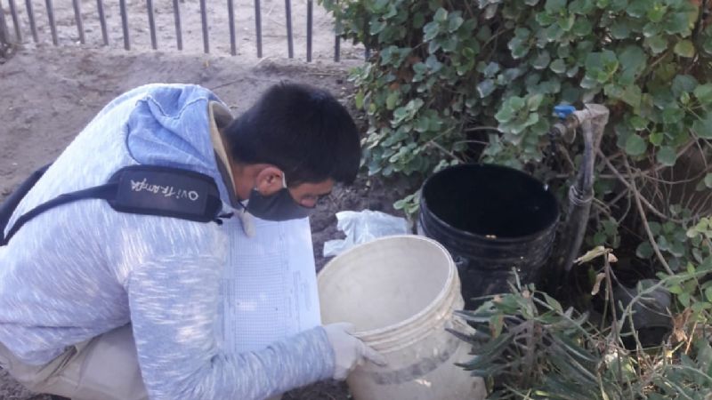 Cronograma de acciones contra el Dengue