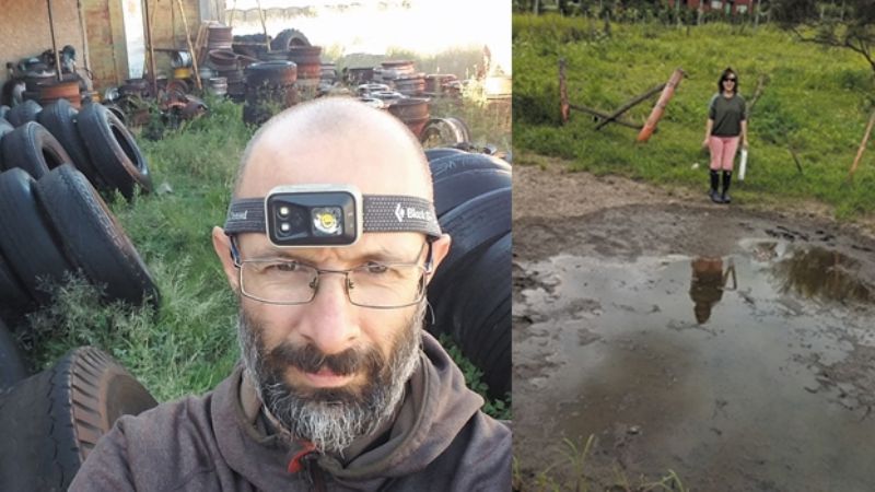 Estudian cómo se amplió la distribución del mosquito responsable del dengue