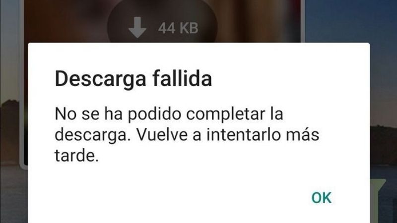 Cómo solucionar el error "descarga fallida" en WhatsApp