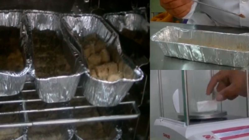 Desarrollan un alimento para promover el crecimiento saludable de niños y niñas