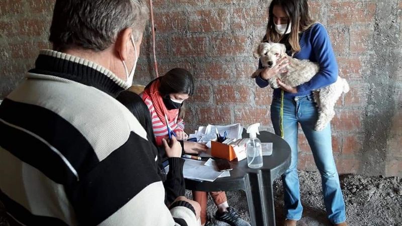 Campaña antirrábica y de desparasitación en Recreo