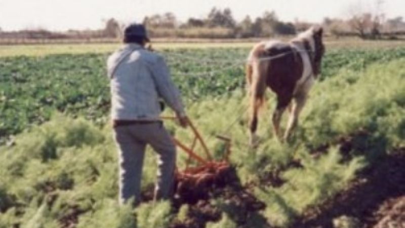 Aumento salarial para el peón de campo