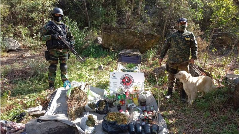 Secuestran semillas de marihuana, varios elementos y cartuchos