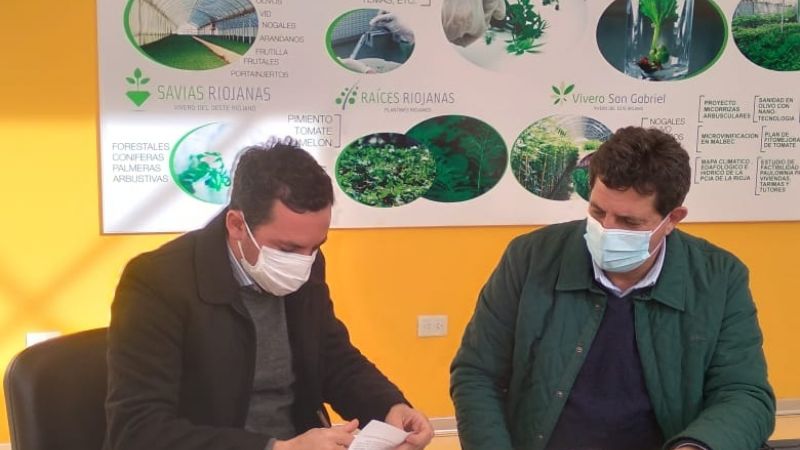 Convenio de cooperación para el desarrollo del cultivo de cannabis