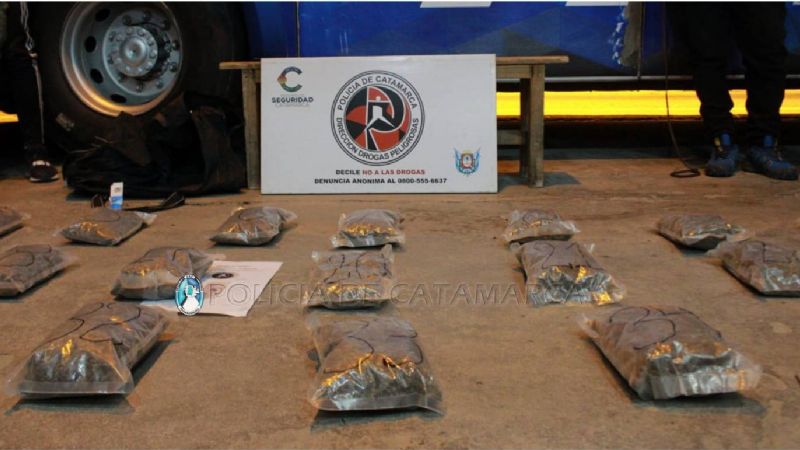 “Apolo” descubrió 8 kilos de marihuana en un colectivo