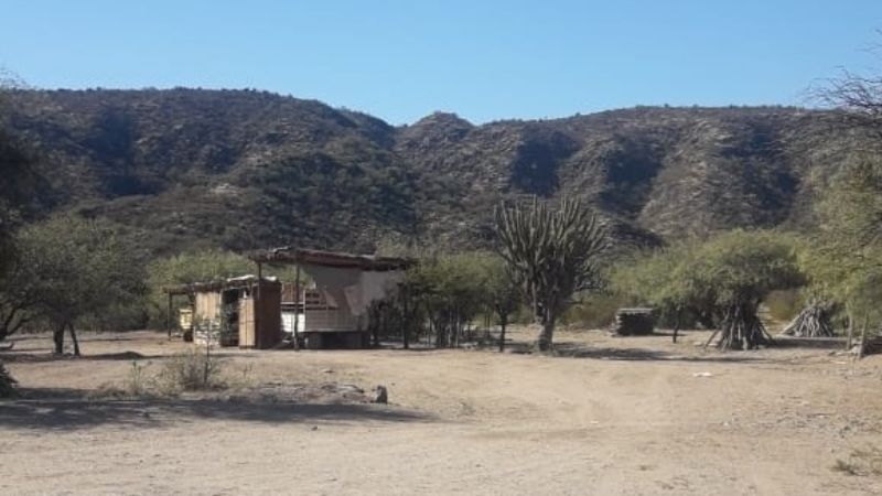 Acciones de posvención en el interior