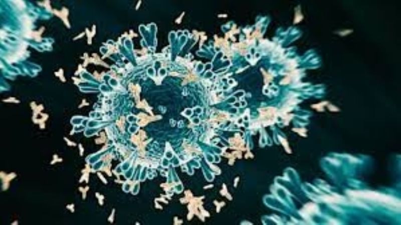 ¿A quiénes afecta más la variante Delta?