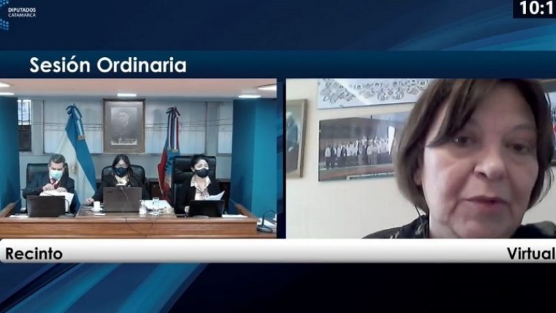 Concientizar sobre el Síndrome de Down, con media sanción