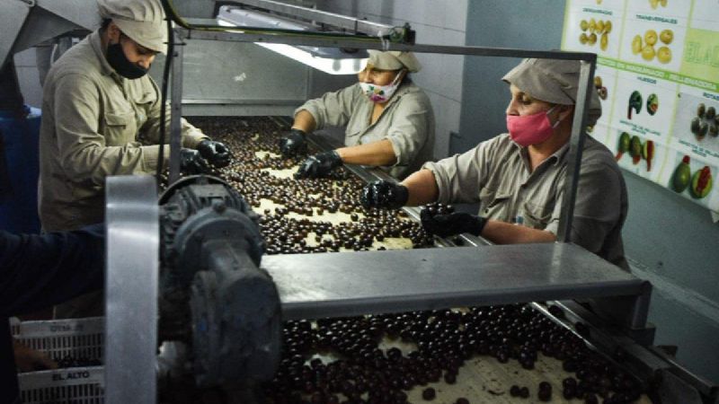 Empresas catamarqueñas con importantes exportaciones a Italia y África