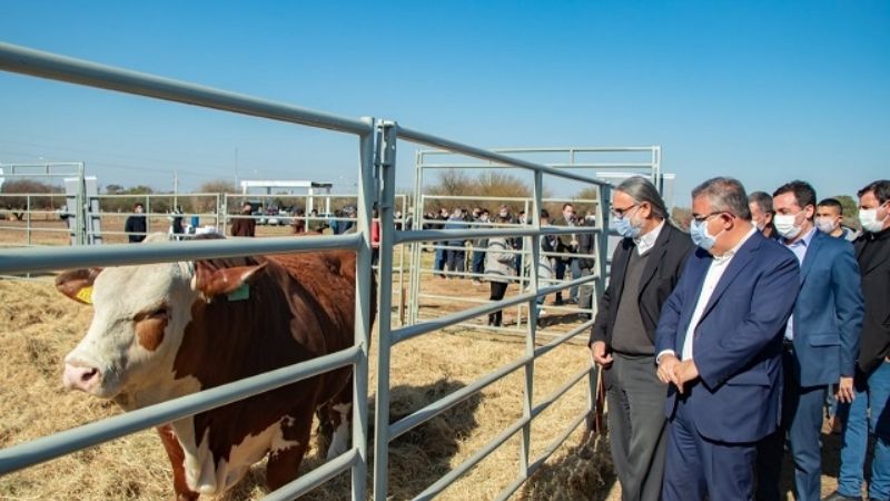 Jalil inauguró el Centro de Genética de Ganado Bovino