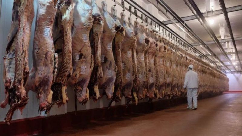 El Gobierno abrió un cupo de exportación de carne kosher a Israel