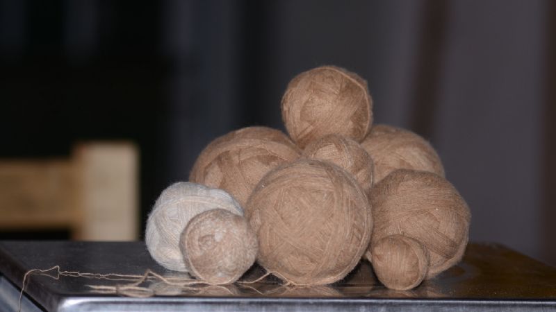 Venta de fibra de vicuña en Belén y Laguna Blanca