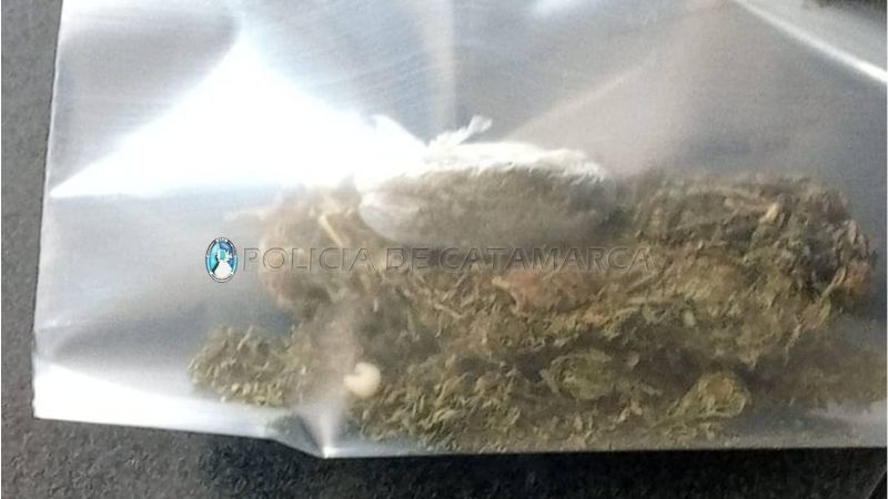 Secuestran marihuana en El Portezuelo