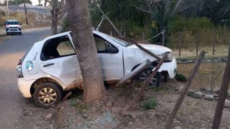 Salió del camino y chocó contra un árbol