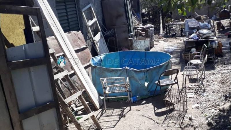 Secuestran 25 gallos de riña y otros elementos en Banda de Varela