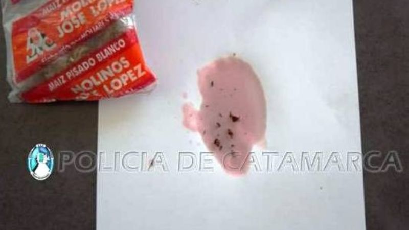 “Apolo” descubrió una bolsa de marihuana y porros en un auto