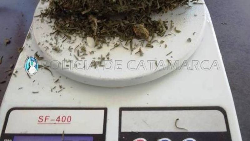 “Apolo” descubrió una bolsa de marihuana y porros en un auto