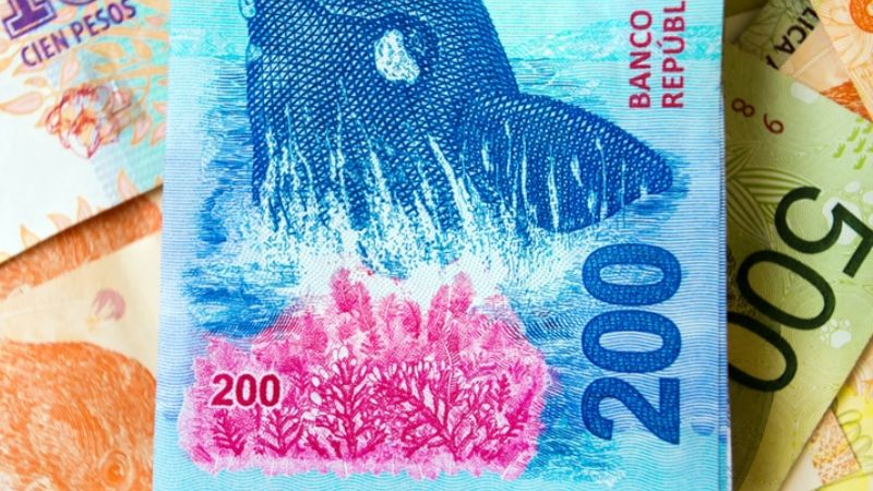 Todos los pagos de ANSES: ¿quiénes cobran hoy?