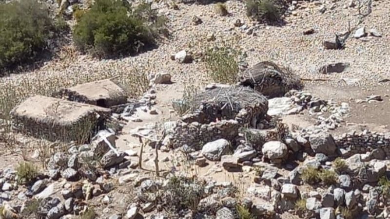 Lorenza y "su" mundo