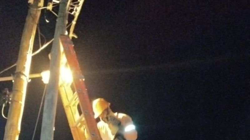 Rescatan un gatito que trepó hasta la cima de un poste