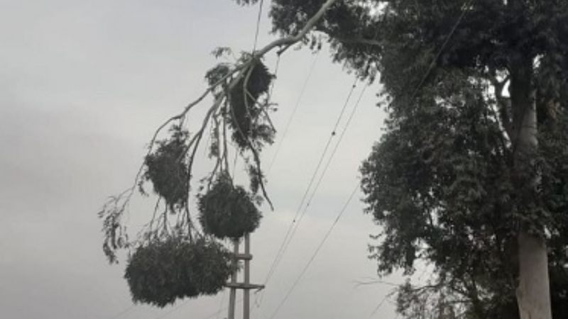 Inconvenientes con el servicio eléctrico en varios sectores de la provincia